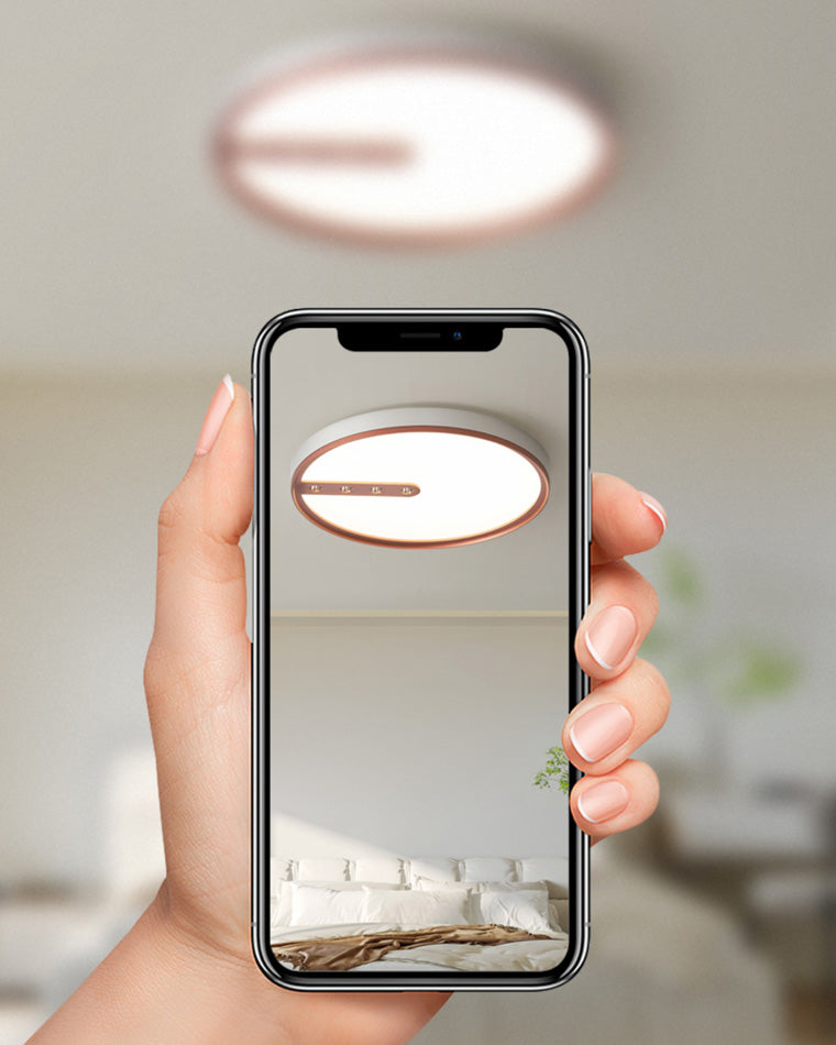 Diff Polo Low Profile Round Ceiling Light-DF1066