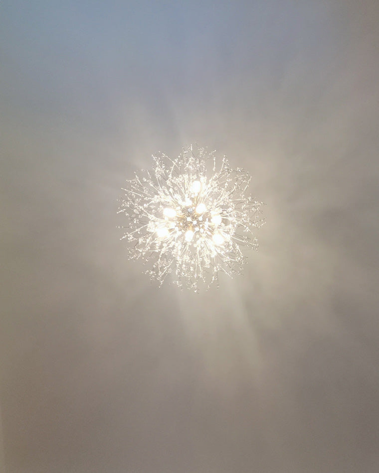 Diff Dandelion Chandelier-DF2004