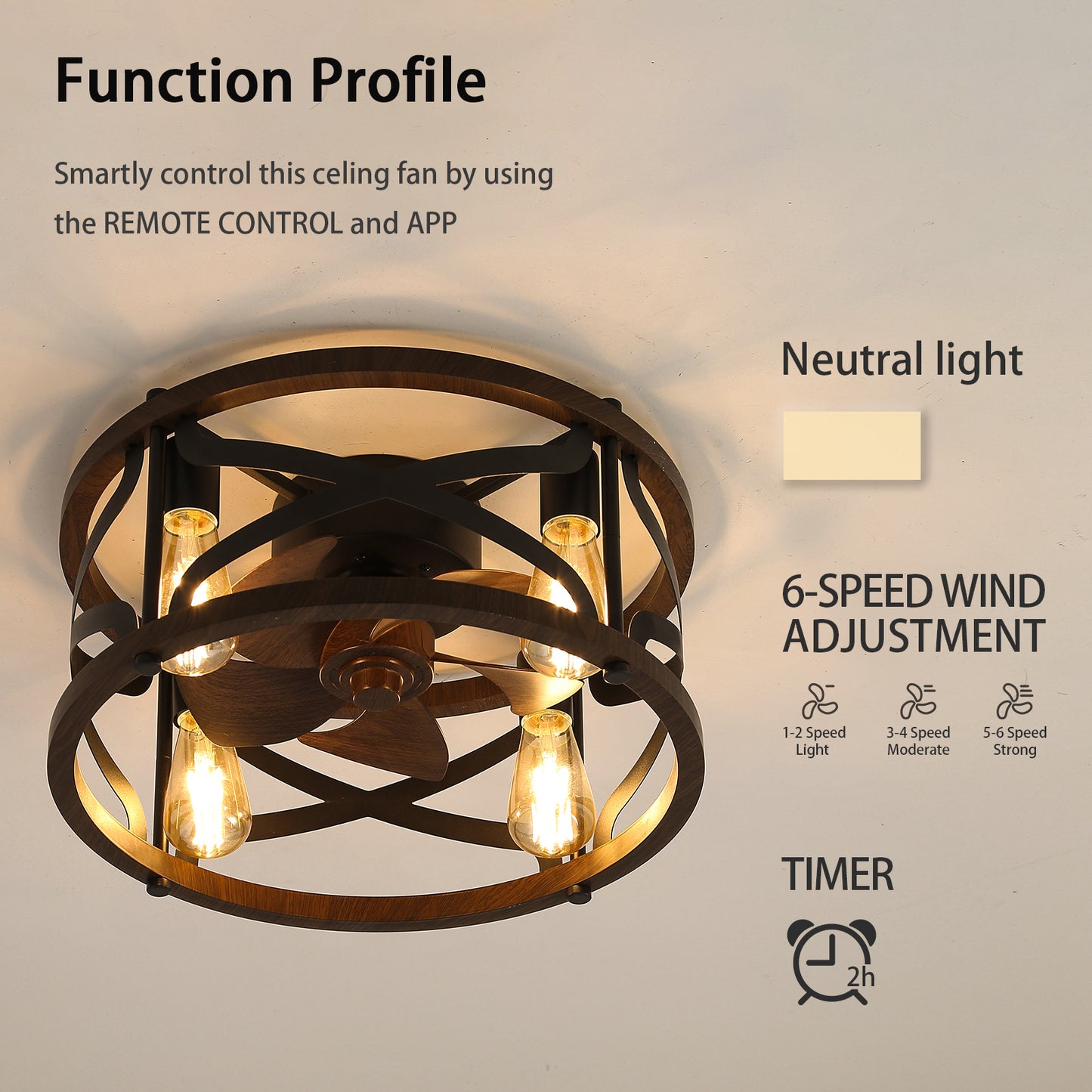 18inch Caged Ceiling Fan with Lights-DG1003