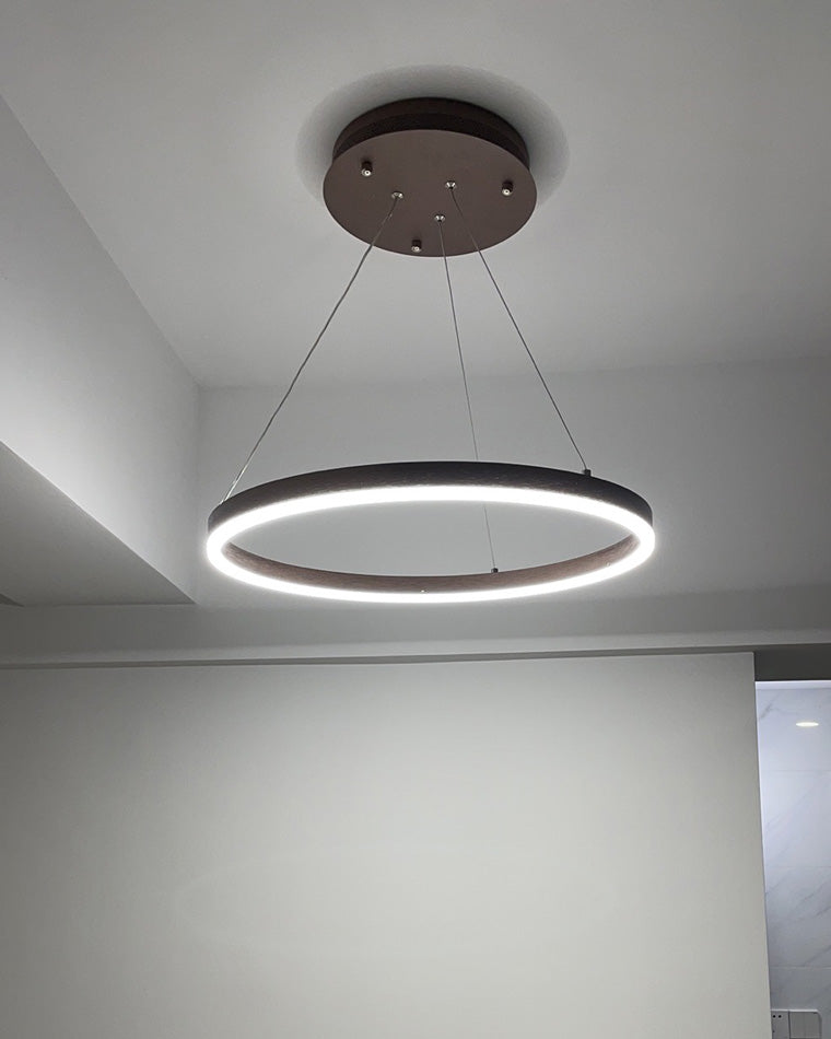 Diff Ring Pendant Light-DF2030