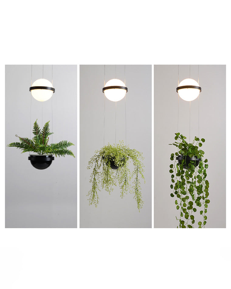 Diff Plant Globe Pendant Light-DF2155