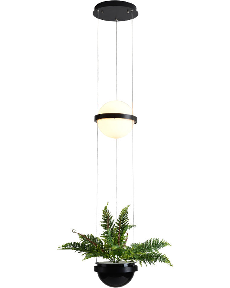 Diff Plant Globe Pendant Light-DF2155