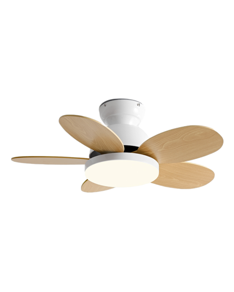 Diff 36" Children Wood Ceiling Fan with Dimmable Light-DF5004