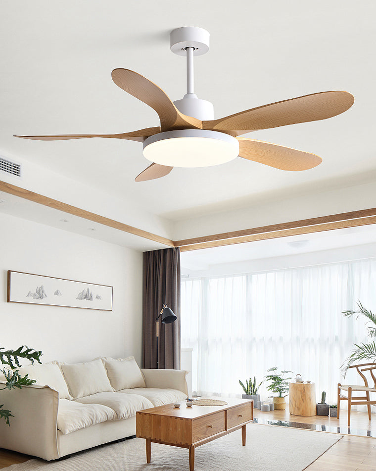 Diff Minimal Ceiling Fan with Light-DF5002