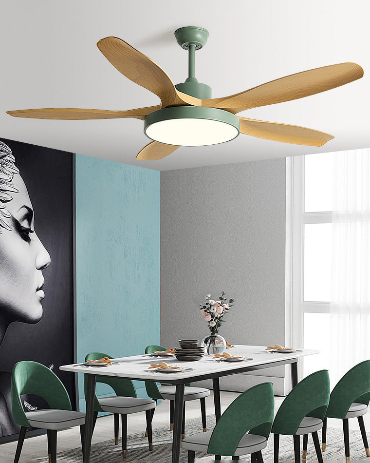 Diff Minimal Ceiling Fan with Light-DF5002