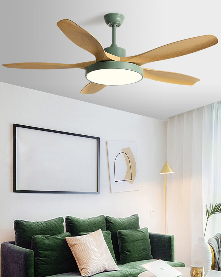 Diff Minimal Ceiling Fan with Light-DF5002