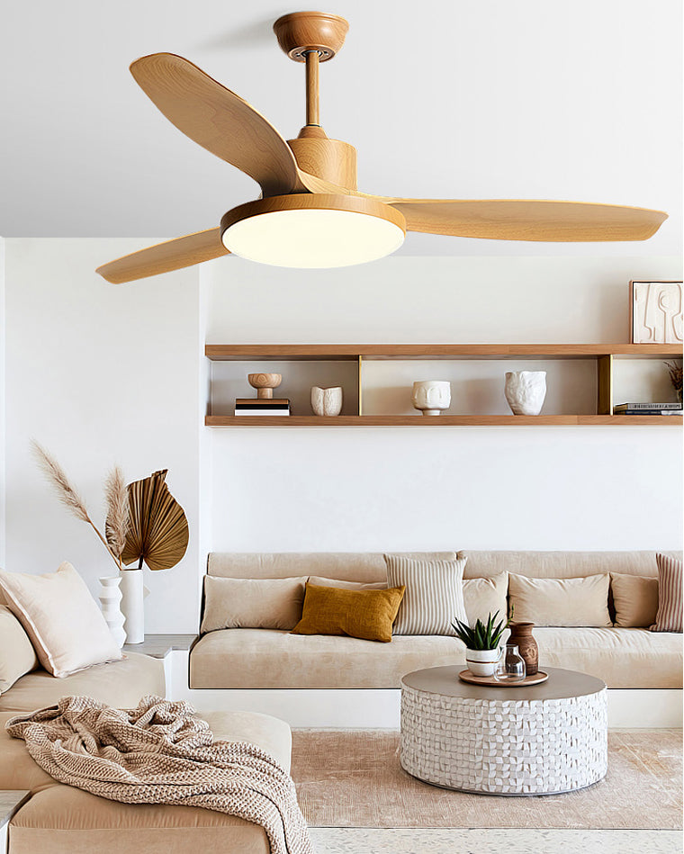 Diff Minimal Ceiling Fan with Light-DF5002