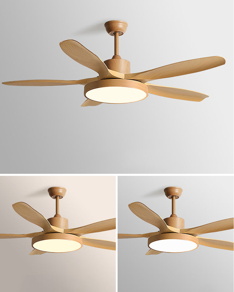 Diff Minimal Ceiling Fan with Light-DF5002