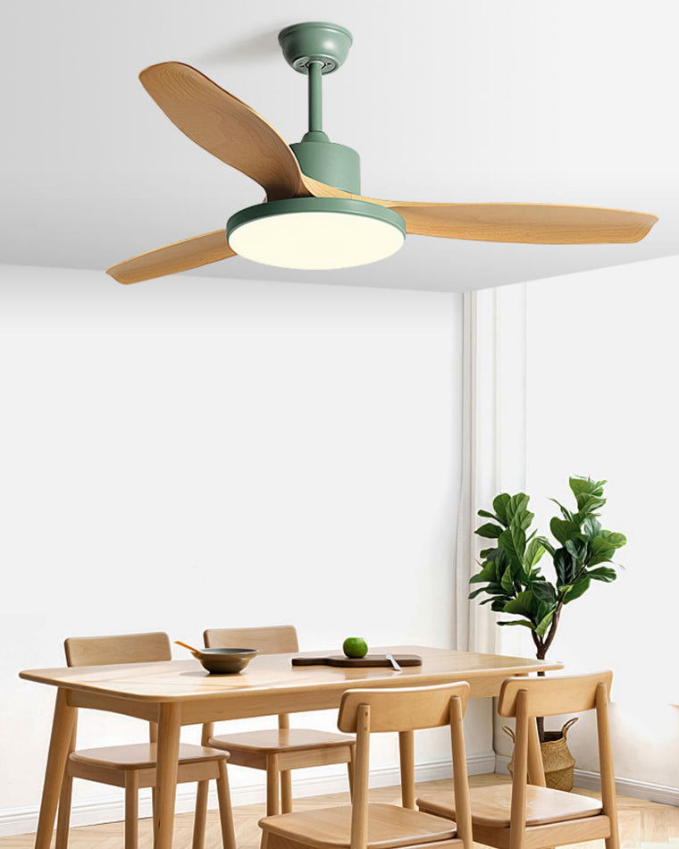 Diff Minimal Ceiling Fan with Light-DF5002