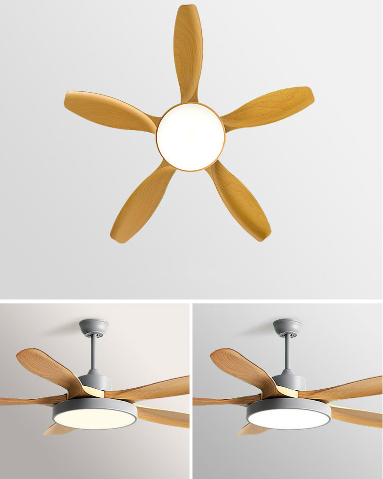 Diff Minimal Ceiling Fan with Light-DF5002