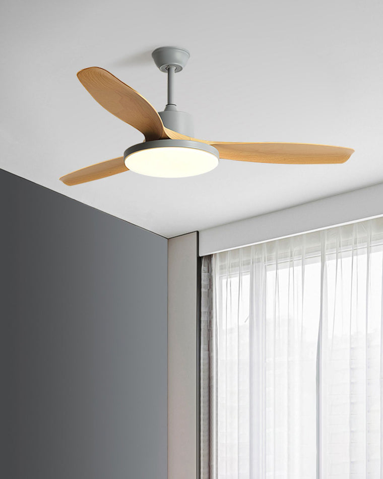 Diff Minimal Ceiling Fan with Light-DF5002