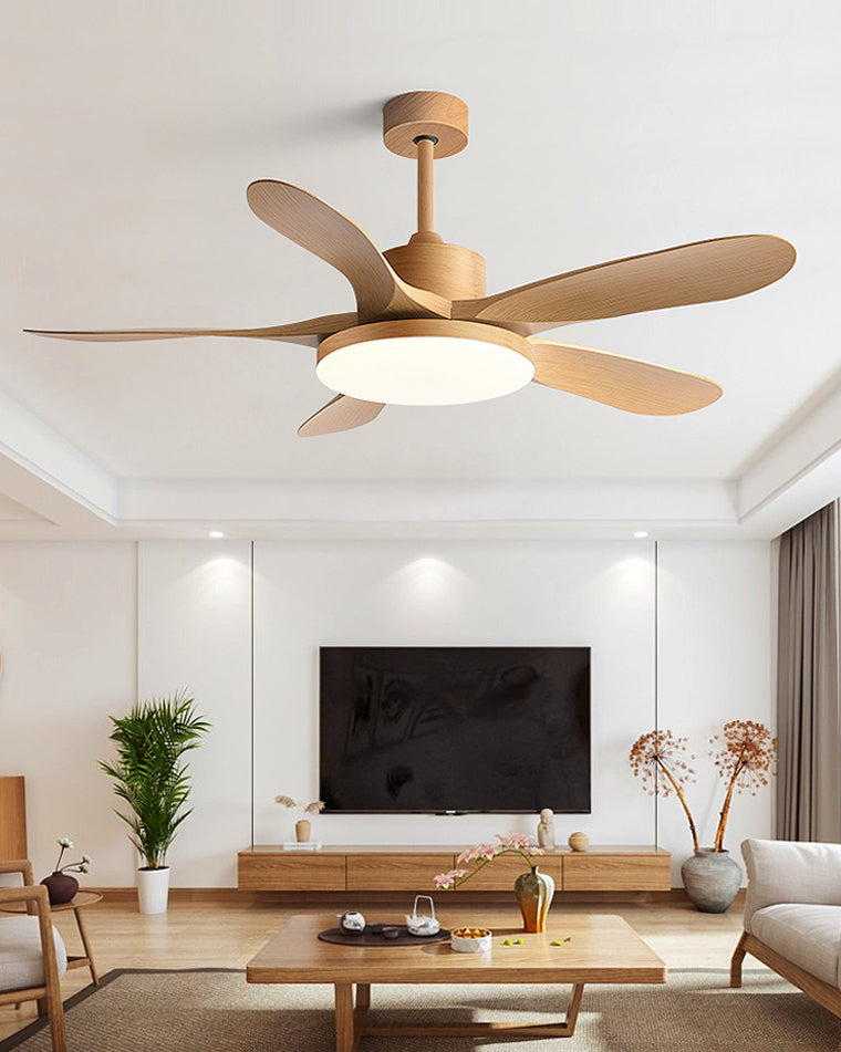 Diff Minimal Ceiling Fan with Light-DF5002