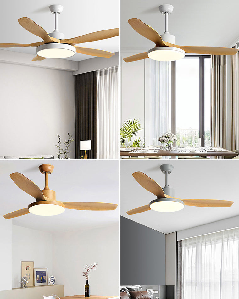 Diff Minimal Ceiling Fan with Light-DF5002