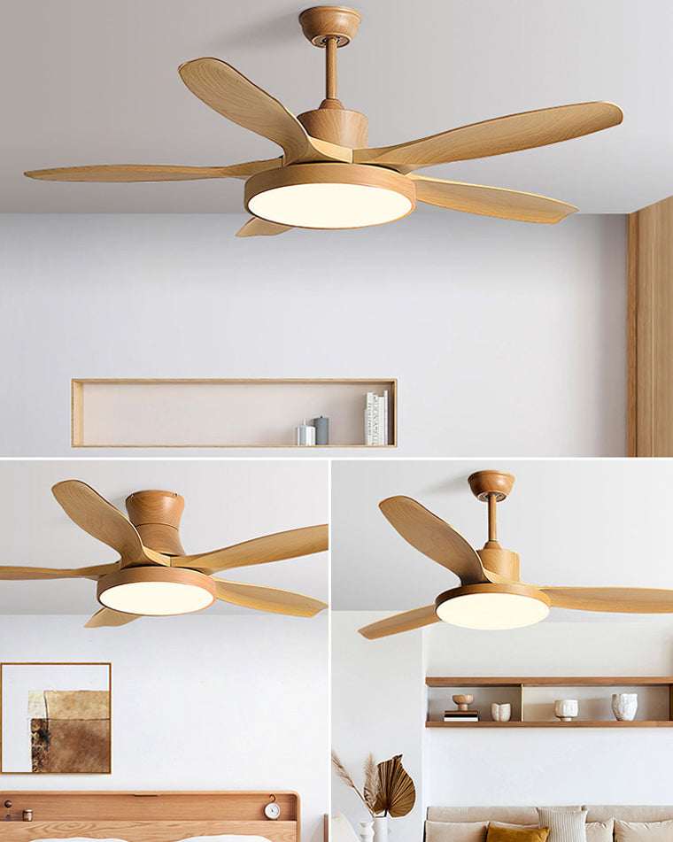 Diff Minimal Ceiling Fan with Light-DF5002