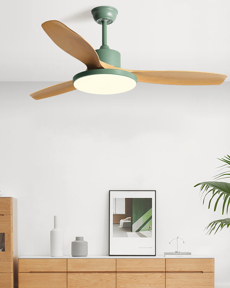 Diff Minimal Ceiling Fan with Light-DF5002