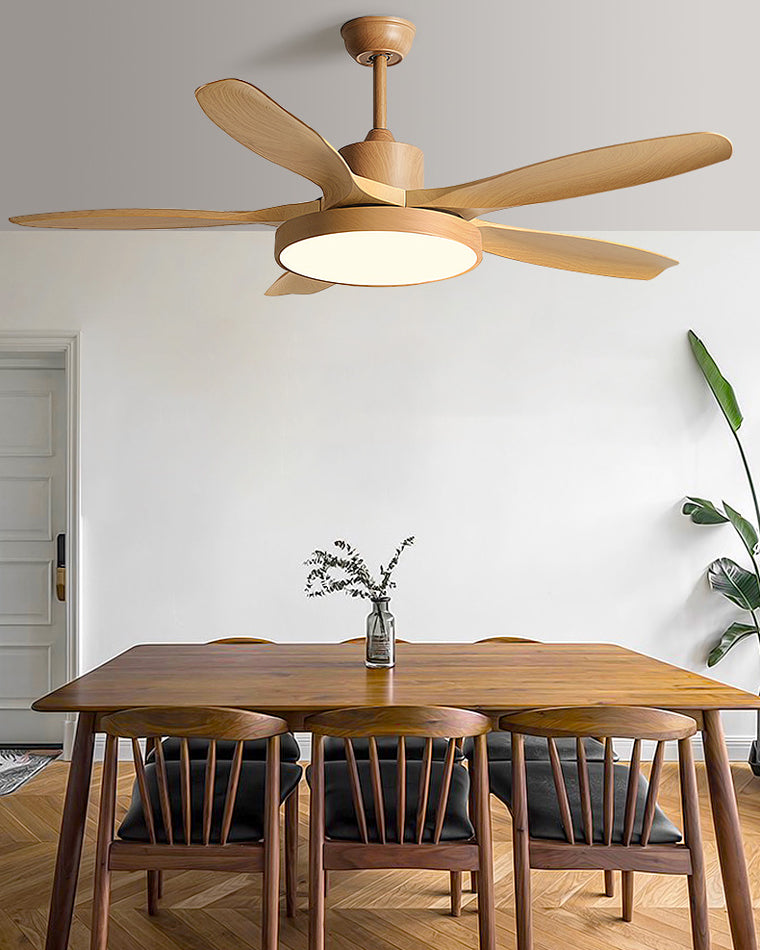 Diff Minimal Ceiling Fan with Light-DF5002