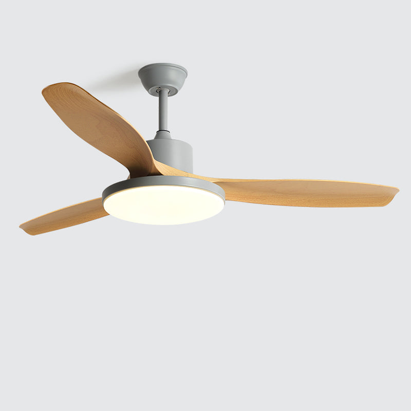 Diff Minimal Ceiling Fan with Light-DF5002
