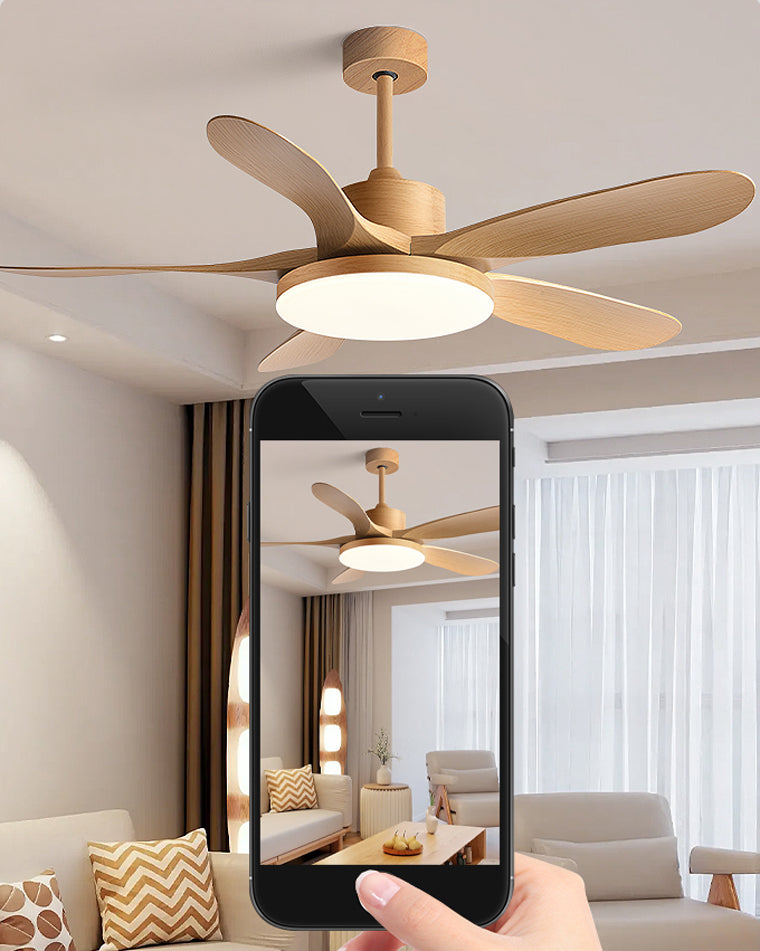Diff Minimal Ceiling Fan with Light-DF5002