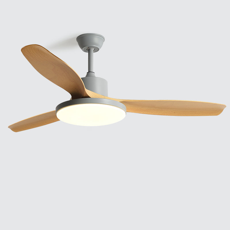 Diff Minimal Ceiling Fan with Light-DF5002