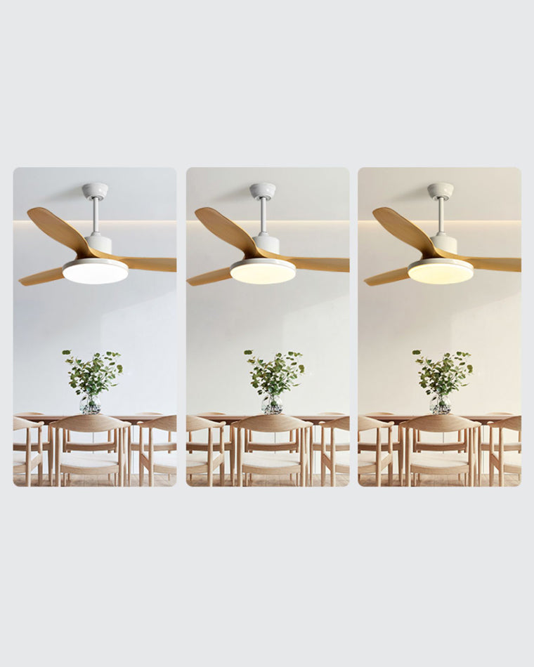 Diff Minimal Ceiling Fan with Light-DF5002