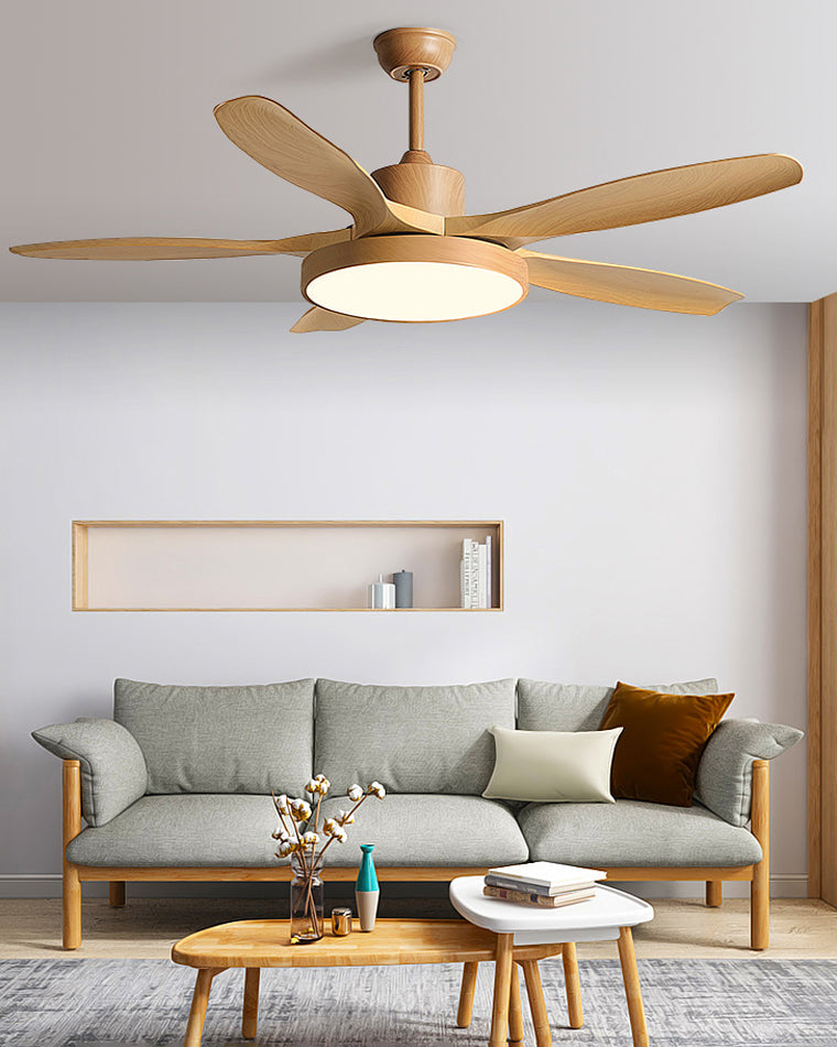 Diff Minimal Ceiling Fan with Light-DF5002
