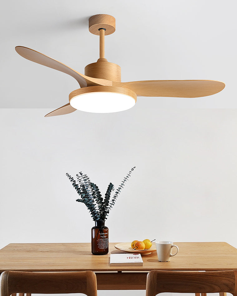 Diff Minimal Ceiling Fan with Light-DF5002