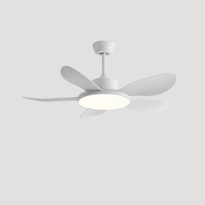 Diff 42" Wood Grain Ceiling Fan with Dimmable Light-DF5003
