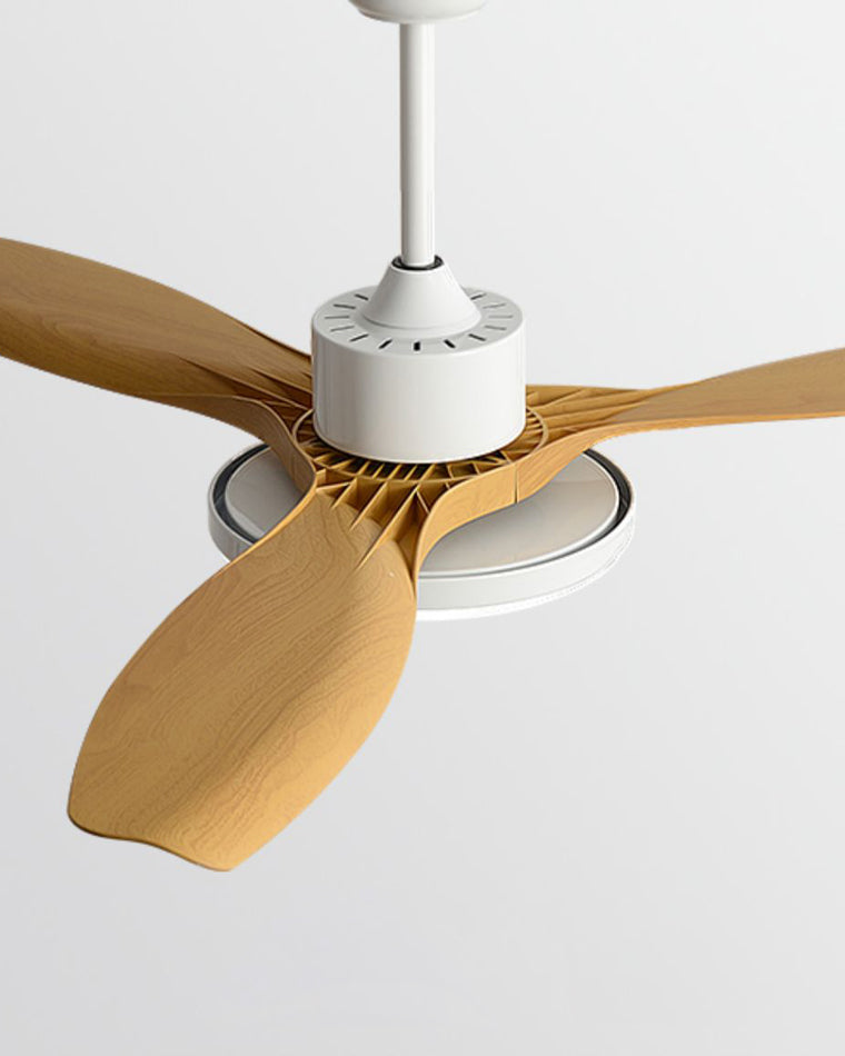 Diff Minimal Ceiling Fan with Light-DF5002