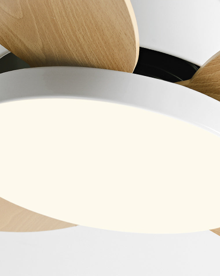 Diff 36" Children Wood Ceiling Fan with Dimmable Light-DF5004