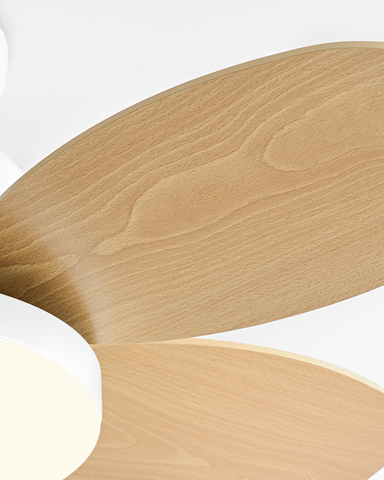 Diff 36" Children Wood Ceiling Fan with Dimmable Light-DF5004