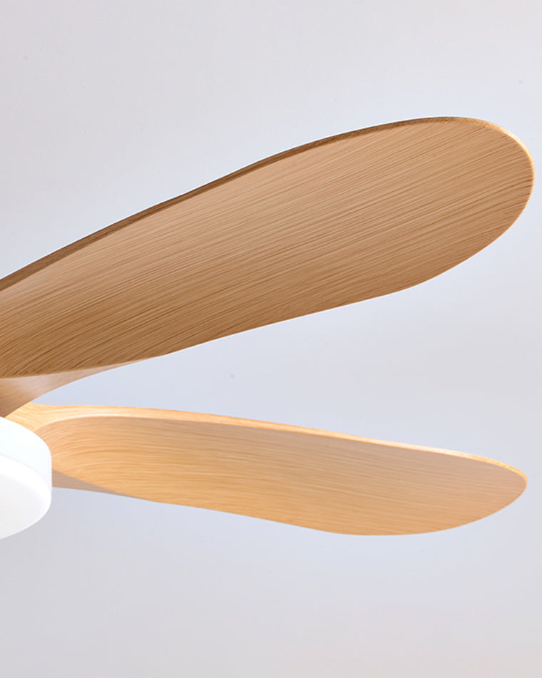 Diff Minimal Ceiling Fan with Light-DF5002