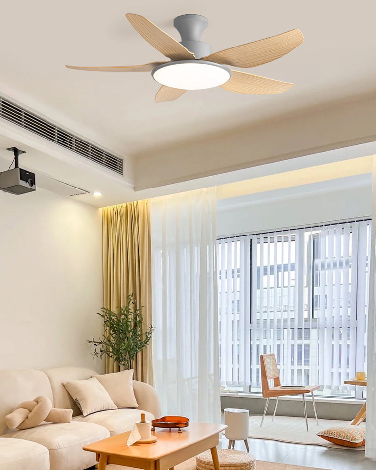 Diff 42" Low Profile Ceiling Fan with Dimmable Light-DF5020