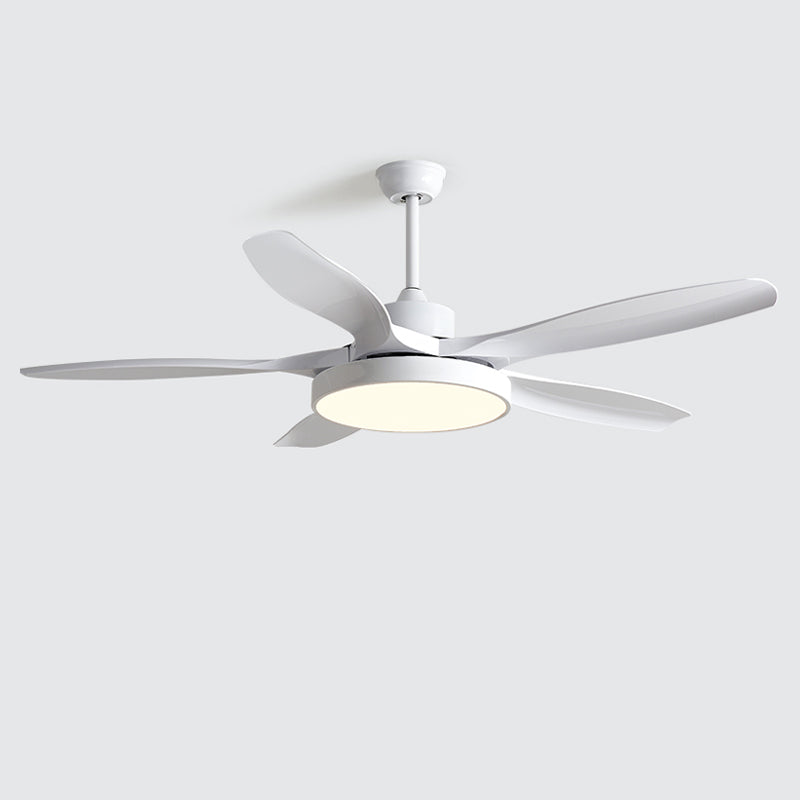 Diff Minimal Ceiling Fan with Light-DF5002