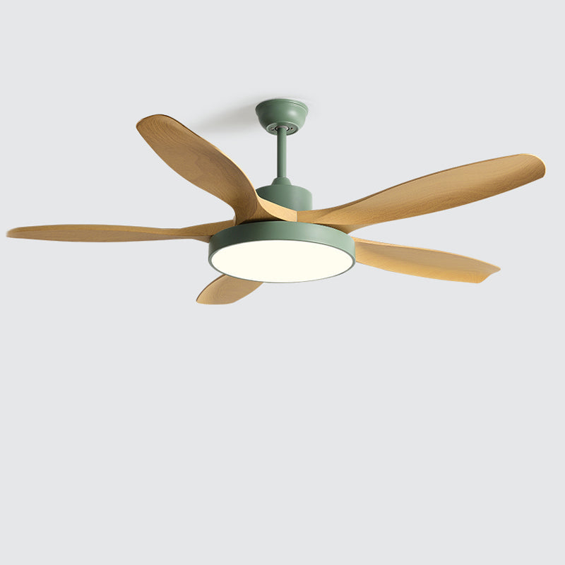 Diff Minimal Ceiling Fan with Light-DF5002