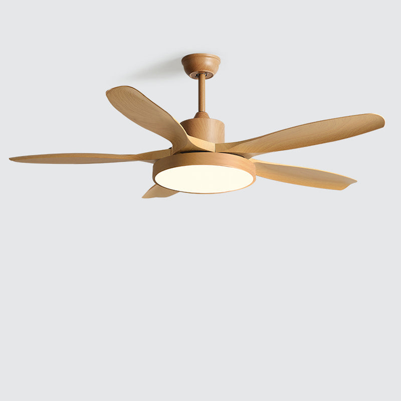Diff Minimal Ceiling Fan with Light-DF5002
