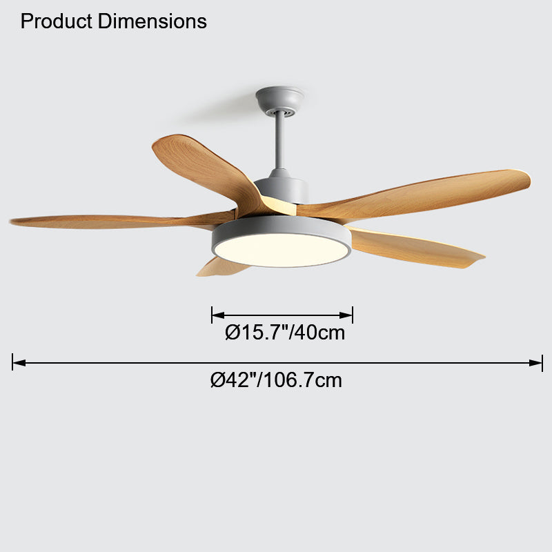 Diff Minimal Ceiling Fan with Light-DF5002