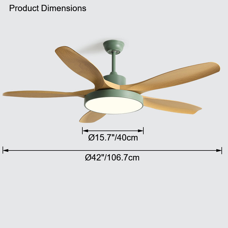Diff Minimal Ceiling Fan with Light-DF5002