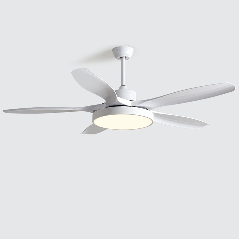 Diff Minimal Ceiling Fan with Light-DF5002