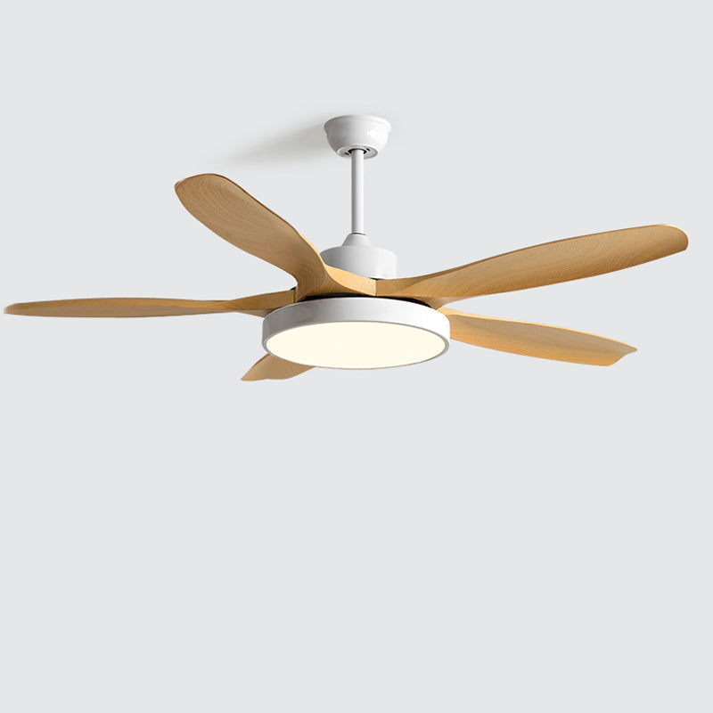 Diff Minimal Ceiling Fan with Light-DF5002