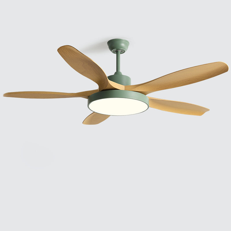 Diff Minimal Ceiling Fan with Light-DF5002