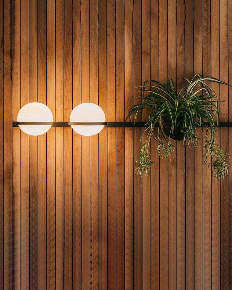 Diff Globe Plant Wall Sconce-DF6035