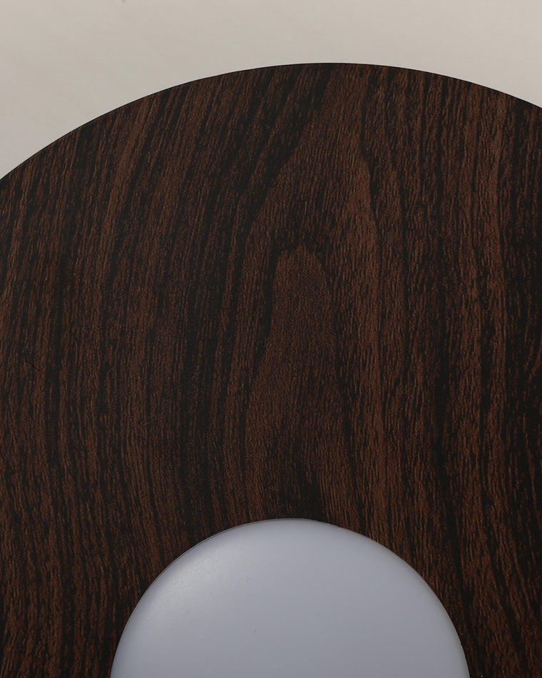Diff Disc Accent Wall Sconce-DF6065