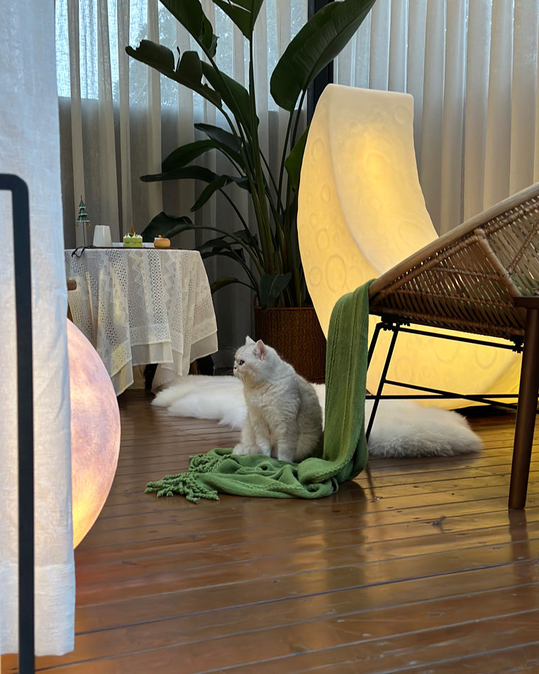 Diff Crescent Moon Floor Lamp-DF7021