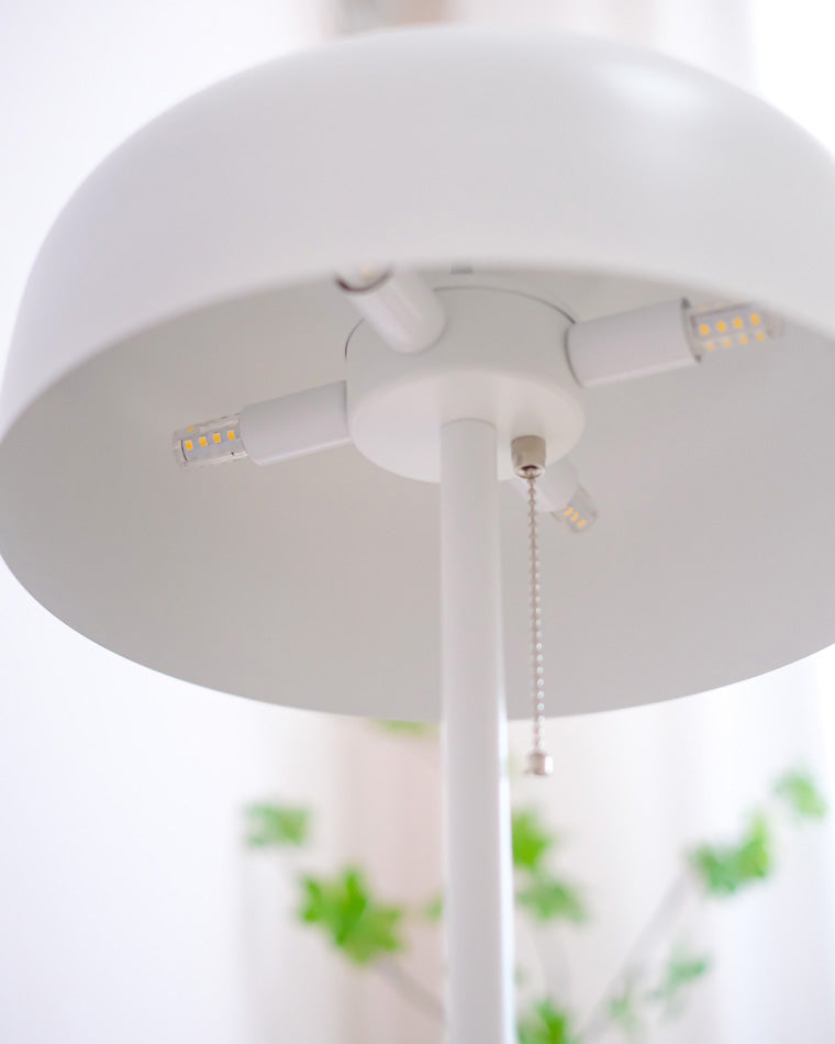 Diff Acorn Floor Lamp with Pull Chain-DF7034