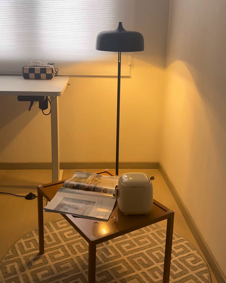 Diff Acorn Floor Lamp with Pull Chain-DF7034