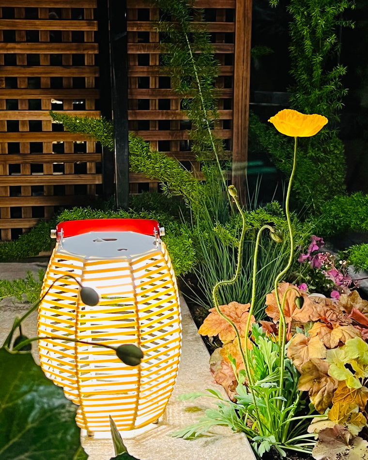 Diff Solar Lantern Outdoor Light-DF9009