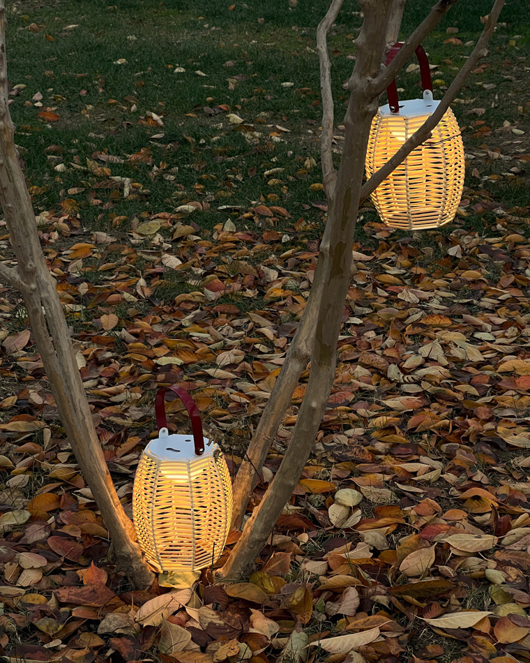 Diff Solar Lantern Outdoor Light-DF9009