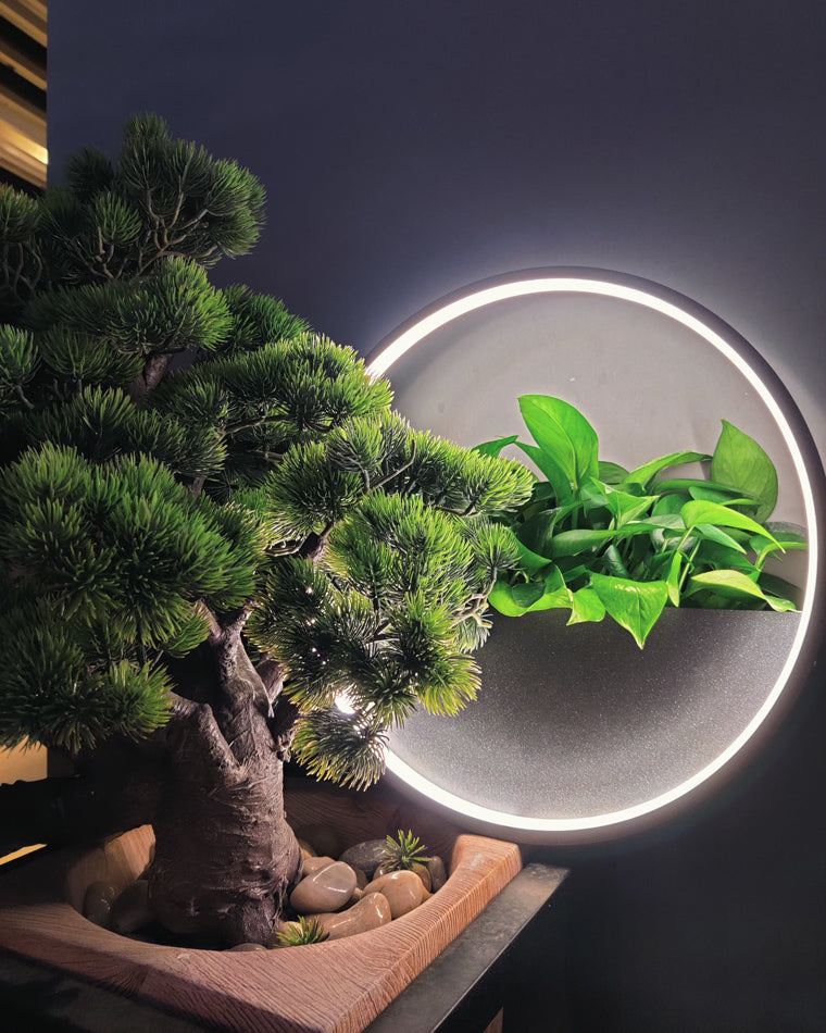 Diff Plant Wall lamp Outdoor Light-DF9013