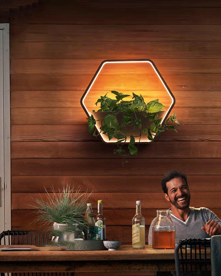 Diff Plant Wall lamp Outdoor Light-DF9013