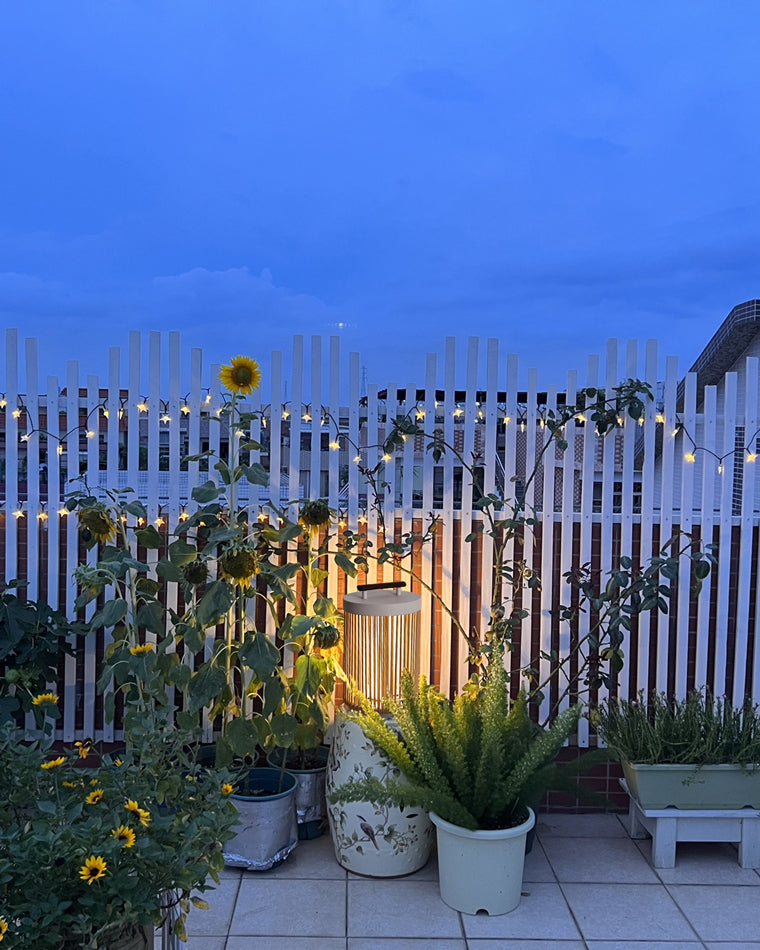 Diff Solar Lantern Outdoor Light-DF9020